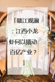 赣江观澜：江西小龙虾何以撬动百亿产业？