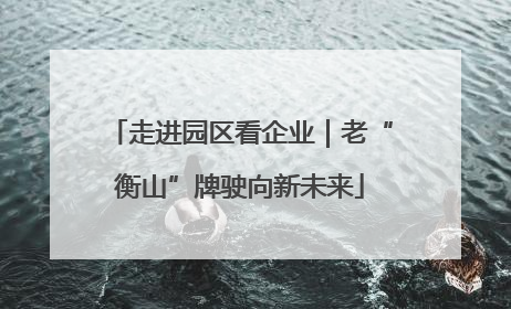 走进园区看企业｜老“衡山”牌驶向新未来