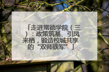 走进常德学院（三）：政策筑基、引凤来栖，锻造校城共享的“双师铁军”