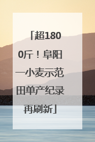 超1800斤！阜阳一小麦示范田单产纪录再刷新