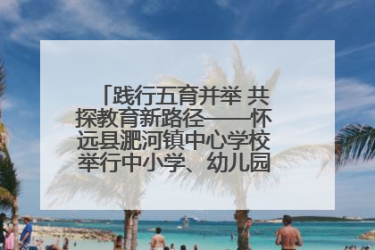 践行五育并举 共探教育新路径——怀远县淝河镇中心学校举行中小学、幼儿园班主任论坛活动