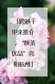 跨越千里来推介，“陕茶优品”亮相杭州