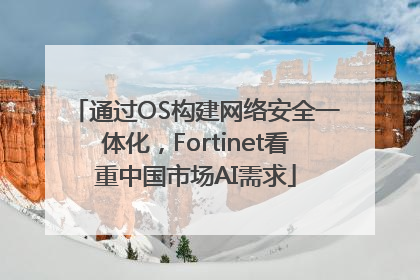 通过OS构建网络安全一体化，Fortinet看重中国市场AI需求