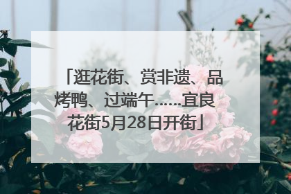 逛花街、赏非遗、品烤鸭、过端午……宜良花街5月28日开街