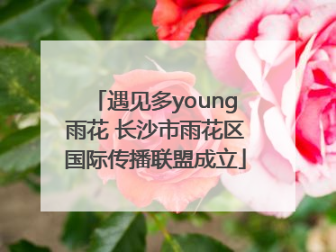 遇见多young雨花 长沙市雨花区国际传播联盟成立