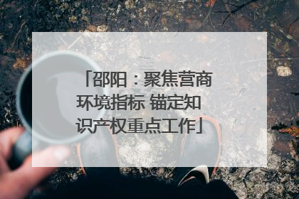 邵阳：聚焦营商环境指标 锚定知识产权重点工作