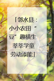 邻水县：小小农田“豆”趣横生 莘莘学童劳动添能