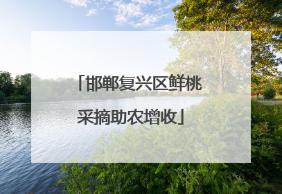 邯郸复兴区鲜桃采摘助农增收
