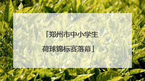 郑州市中小学生荷球锦标赛落幕