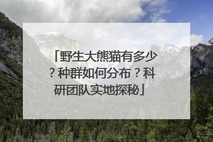 野生大熊猫有多少？种群如何分布？科研团队实地探秘
