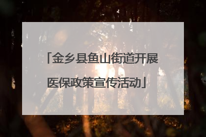 金乡县鱼山街道开展医保政策宣传活动