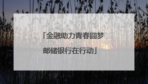 金融助力青春圆梦邮储银行在行动