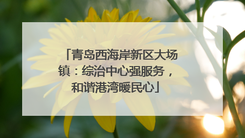 青岛西海岸新区大场镇：综治中心强服务，和谐港湾暖民心