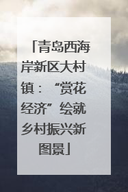 青岛西海岸新区大村镇：“赏花经济”绘就乡村振兴新图景