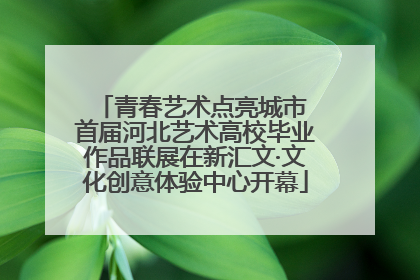 青春艺术点亮城市 首届河北艺术高校毕业作品联展在新汇文·文化创意体验中心开幕