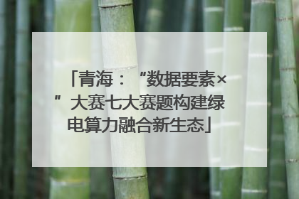 青海：“数据要素×”大赛七大赛题构建绿电算力融合新生态