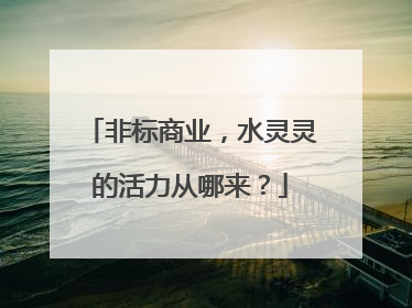 非标商业，水灵灵的活力从哪来？
