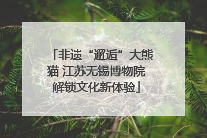 非遗“邂逅”大熊猫 江苏无锡博物院解锁文化新体验