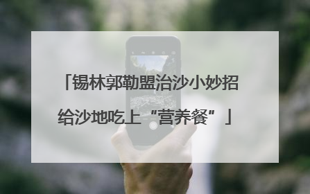 锡林郭勒盟治沙小妙招 给沙地吃上“营养餐”