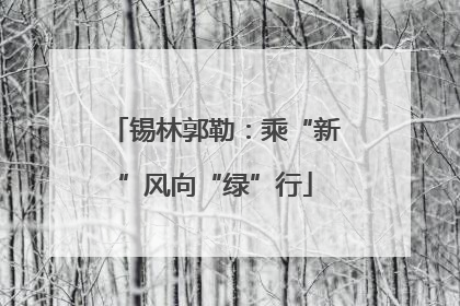 锡林郭勒：乘“新”风向“绿”行