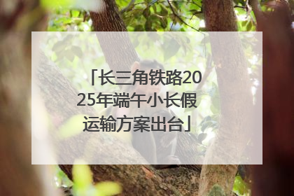 长三角铁路2025年端午小长假运输方案出台