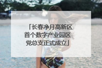 长春净月高新区首个数字产业园区党总支正式成立