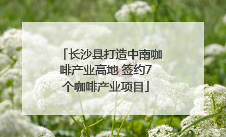 长沙县打造中南咖啡产业高地 签约7个咖啡产业项目
