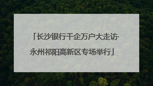长沙银行千企万户大走访·永州祁阳高新区专场举行