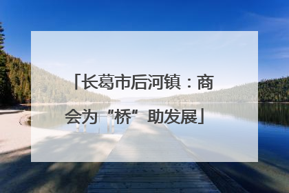 长葛市后河镇：商会为“桥”助发展