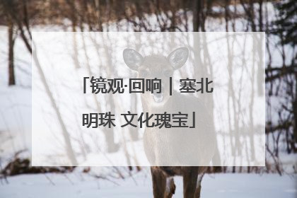 镜观·回响｜塞北明珠 文化瑰宝