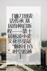 镰刀割麦话传承 基因育种启新程——第十届杨凌小麦文化节见证“颗粒归仓”时空跨越