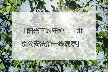 阳光下的守护——北京公安法治一线观察