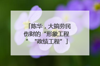陈华，大搞劳民伤财的“形象工程”“政绩工程”