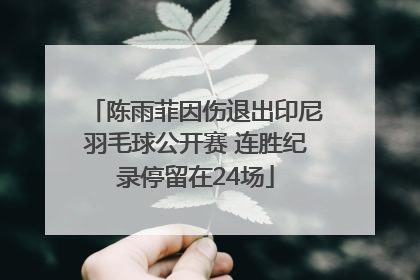 陈雨菲因伤退出印尼羽毛球公开赛 连胜纪录停留在24场