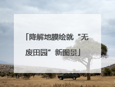 降解地膜绘就“无废田园”新图景