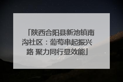 陕西合阳县新池镇南沟社区：葡萄串起振兴路 聚力同行显效能