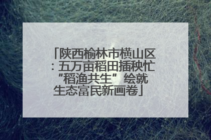陕西榆林市横山区：五万亩稻田插秧忙 “稻渔共生”绘就生态富民新画卷
