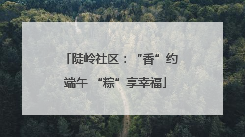 陡岭社区：“香”约端午 “粽”享幸福