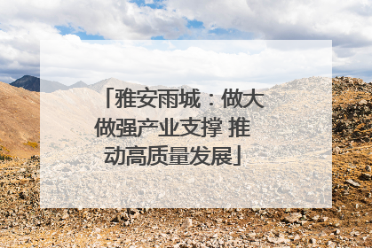 雅安雨城：做大做强产业支撑 推动高质量发展