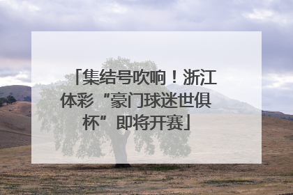 集结号吹响！浙江体彩“豪门球迷世俱杯”即将开赛