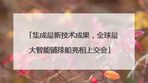集成最新技术成果，全球最大智能铺排船亮相上交会