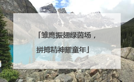 雏鹰振翅绿茵场，拼搏精神耀童年