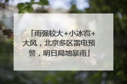 雨强较大+小冰雹+大风，北京多区雷电预警，明日局地暴雨