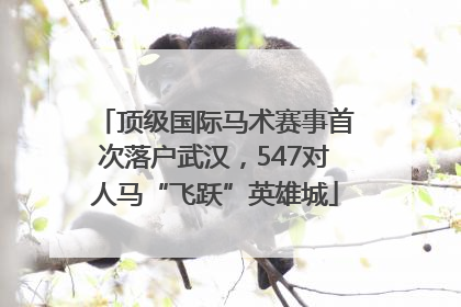顶级国际马术赛事首次落户武汉，547对人马“飞跃”英雄城