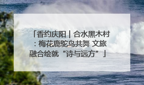 香约庆阳｜合水黑木村：梅花鹿鸵鸟共舞 文旅融合绘就“诗与远方”