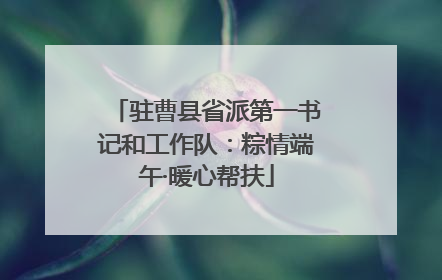 驻曹县省派第一书记和工作队：粽情端午·暖心帮扶