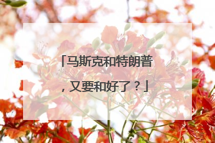 马斯克和特朗普，又要和好了？