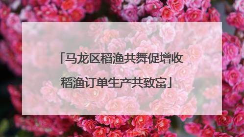 马龙区稻渔共舞促增收 稻渔订单生产共致富