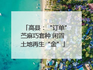 高县：“订单”苎麻巧套种 闲置土地再生“金”