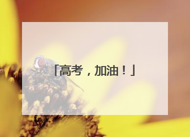 高考，加油！